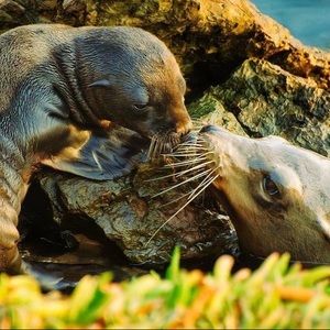 Meet your Posher, Kathy